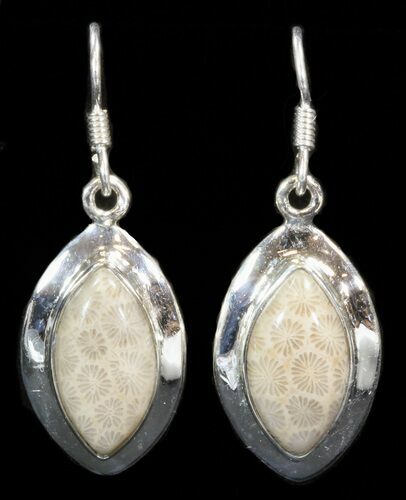 Beautiful Fossil Coral Sunburst Earrings - Sterling Silver #41218